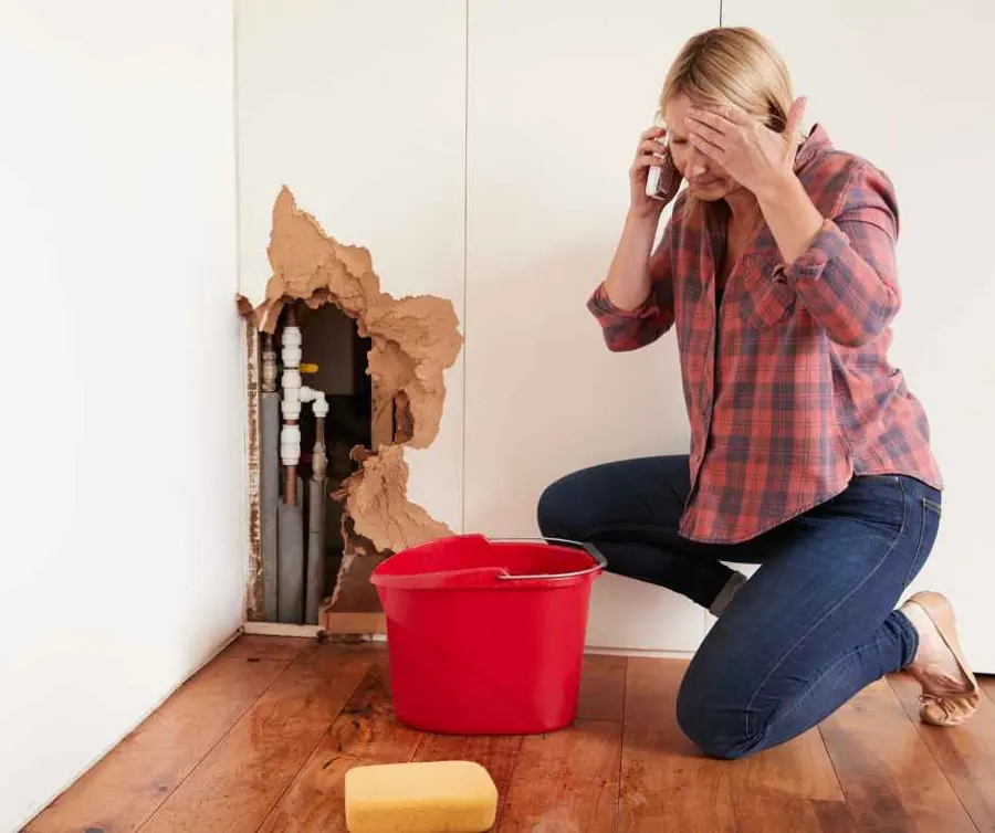 A homeowner catching drips from a ceiling leak in Olympia, WA