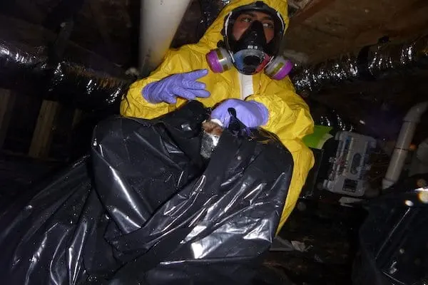 A technician in protective gear cleaning up sewage in an Olympia, WA home